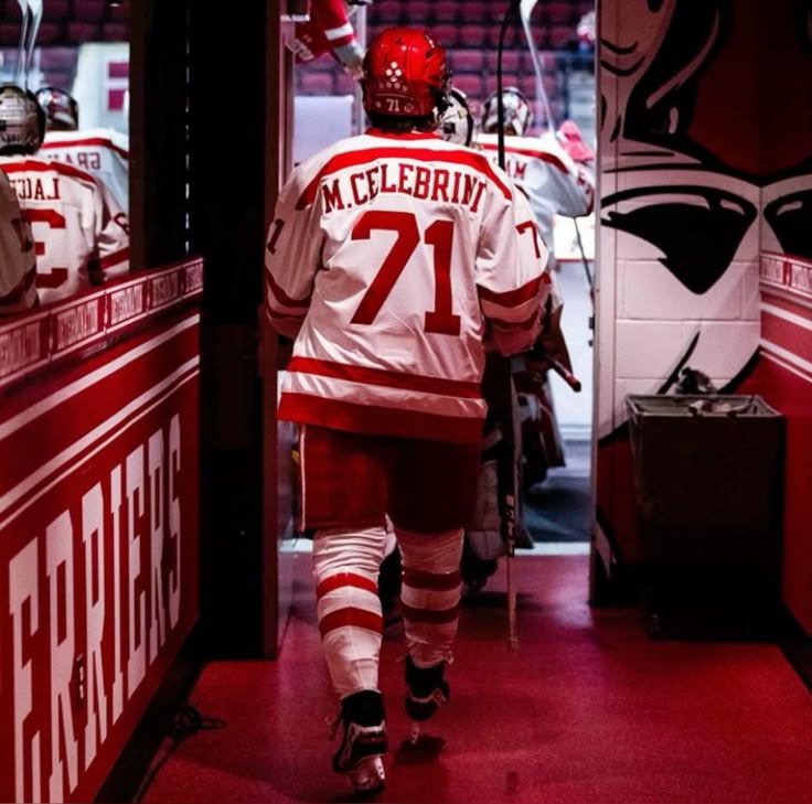 NHL JERSEYS